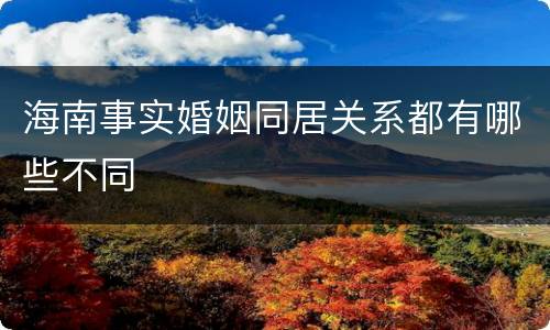 海南事实婚姻同居关系都有哪些不同