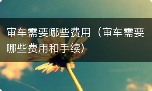 审车需要哪些费用（审车需要哪些费用和手续）