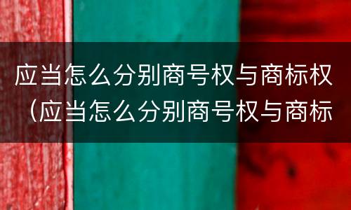 应当怎么分别商号权与商标权（应当怎么分别商号权与商标权）