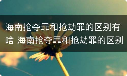 海南抢夺罪和抢劫罪的区别有啥 海南抢夺罪和抢劫罪的区别有啥关系