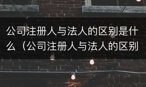 公司注册人与法人的区别是什么（公司注册人与法人的区别是什么意思）
