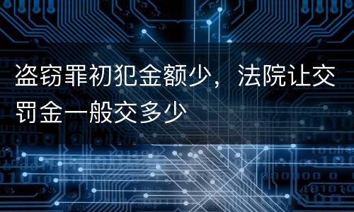 盗窃罪初犯金额少，法院让交罚金一般交多少