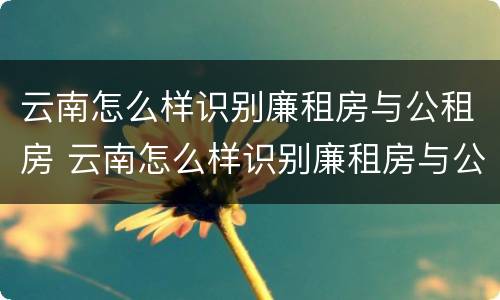 云南怎么样识别廉租房与公租房 云南怎么样识别廉租房与公租房的区别