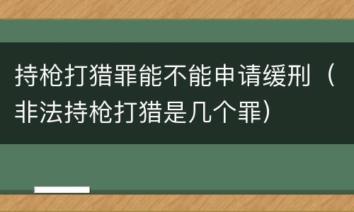 持枪打猎罪能不能申请缓刑（非法持枪打猎是几个罪）