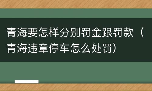 青海要怎样分别罚金跟罚款（青海违章停车怎么处罚）