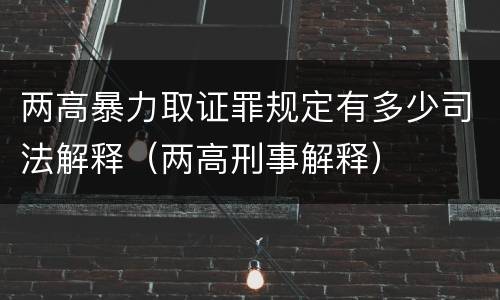 两高暴力取证罪规定有多少司法解释（两高刑事解释）