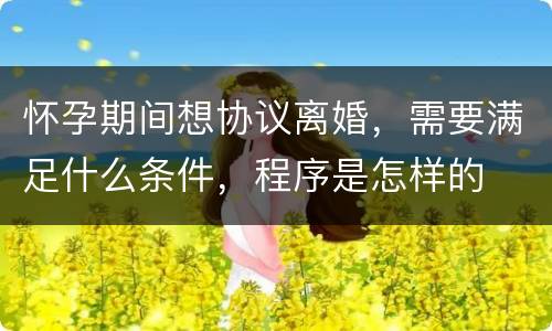 怀孕期间想协议离婚，需要满足什么条件，程序是怎样的