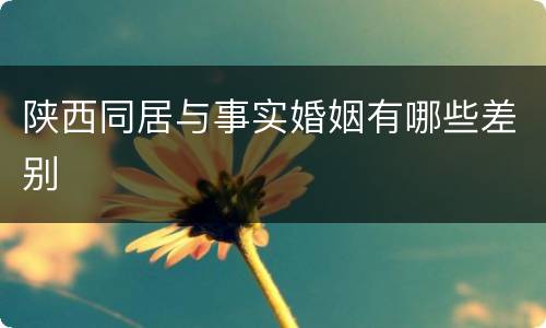 陕西同居与事实婚姻有哪些差别