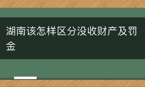 湖南该怎样区分没收财产及罚金