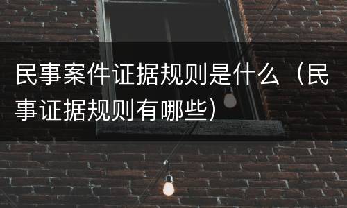 民事案件证据规则是什么（民事证据规则有哪些）