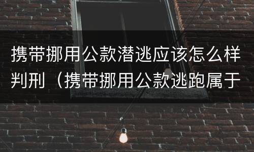 携带挪用公款潜逃应该怎么样判刑（携带挪用公款逃跑属于）