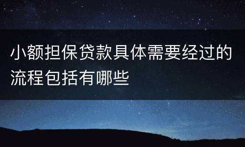 小额担保贷款具体需要经过的流程包括有哪些