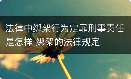 法律中绑架行为定罪刑事责任是怎样 绑架的法律规定