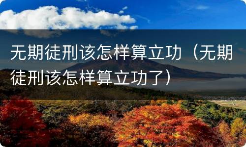 无期徒刑该怎样算立功（无期徒刑该怎样算立功了）