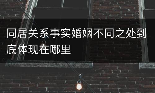 同居关系事实婚姻不同之处到底体现在哪里