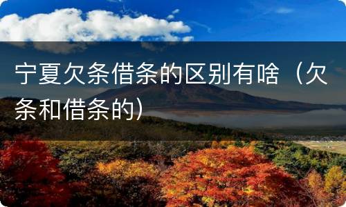 宁夏欠条借条的区别有啥（欠条和借条的）