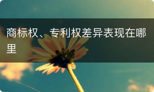 商标权、专利权差异表现在哪里