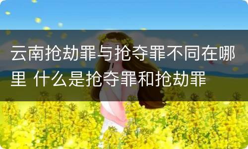 云南抢劫罪与抢夺罪不同在哪里 什么是抢夺罪和抢劫罪