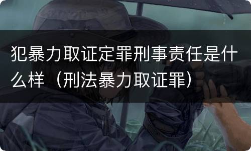 犯暴力取证定罪刑事责任是什么样（刑法暴力取证罪）
