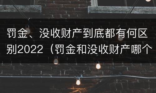 罚金、没收财产到底都有何区别2022（罚金和没收财产哪个严重）