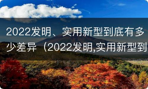 2022发明、实用新型到底有多少差异（2022发明,实用新型到底有多少差异呢）