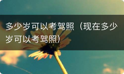 多少岁可以考驾照（现在多少岁可以考驾照）