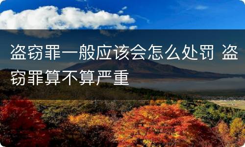 盗窃罪一般应该会怎么处罚 盗窃罪算不算严重