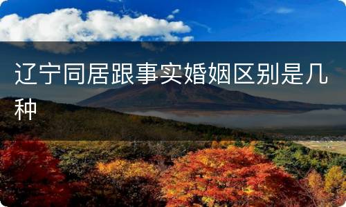 辽宁同居跟事实婚姻区别是几种
