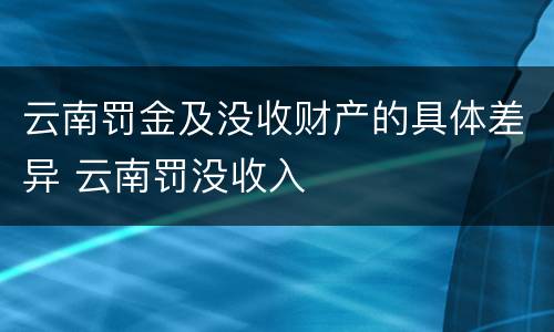 云南罚金及没收财产的具体差异 云南罚没收入