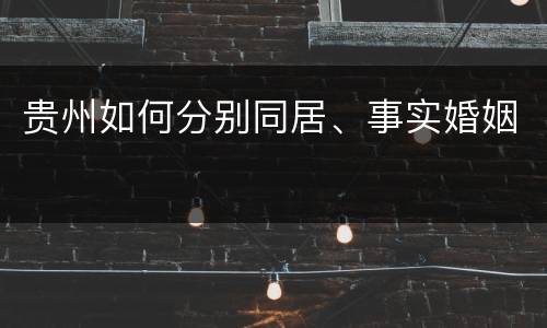 贵州如何分别同居、事实婚姻
