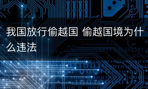 我国放行偷越国 偷越国境为什么违法