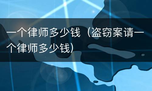 一个律师多少钱（盗窃案请一个律师多少钱）