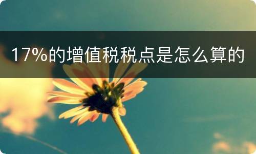 17%的增值税税点是怎么算的