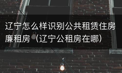 辽宁怎么样识别公共租赁住房廉租房（辽宁公租房在哪）