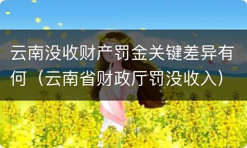 云南没收财产罚金关键差异有何（云南省财政厅罚没收入）