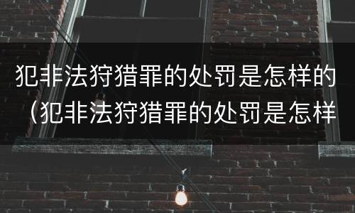 犯非法狩猎罪的处罚是怎样的（犯非法狩猎罪的处罚是怎样的呢）