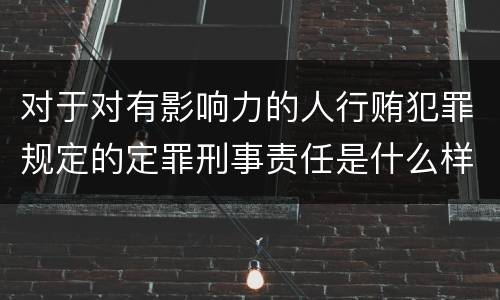 对于对有影响力的人行贿犯罪规定的定罪刑事责任是什么样的
