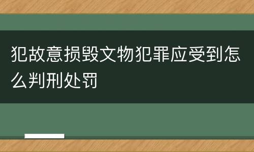 犯故意损毁文物犯罪应受到怎么判刑处罚