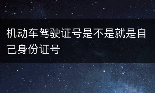 机动车驾驶证号是不是就是自己身份证号