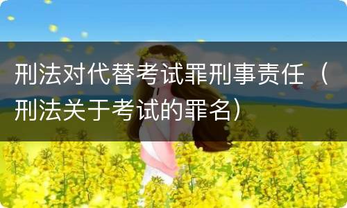 刑法对代替考试罪刑事责任（刑法关于考试的罪名）