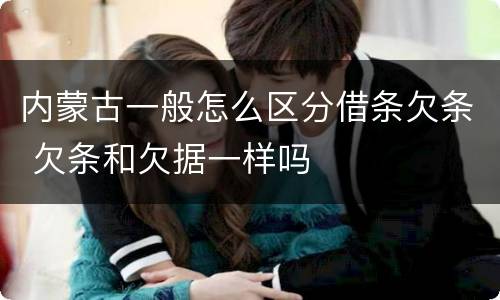 内蒙古一般怎么区分借条欠条 欠条和欠据一样吗