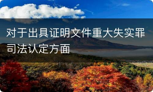 对于出具证明文件重大失实罪司法认定方面