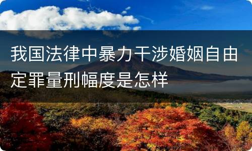 我国法律中暴力干涉婚姻自由定罪量刑幅度是怎样