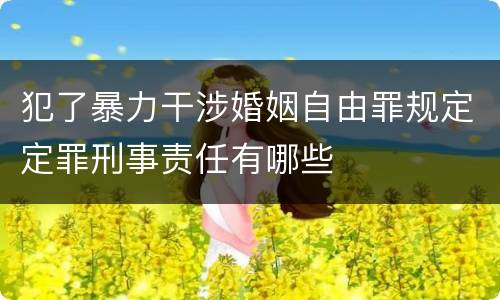 犯了暴力干涉婚姻自由罪规定定罪刑事责任有哪些