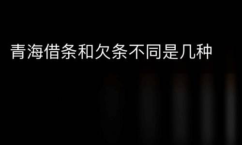 青海借条和欠条不同是几种