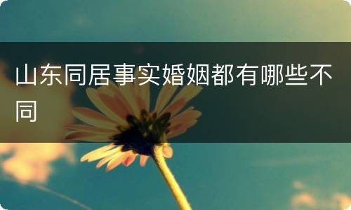 山东同居事实婚姻都有哪些不同