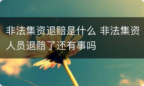 非法集资退赔是什么 非法集资人员退赔了还有事吗