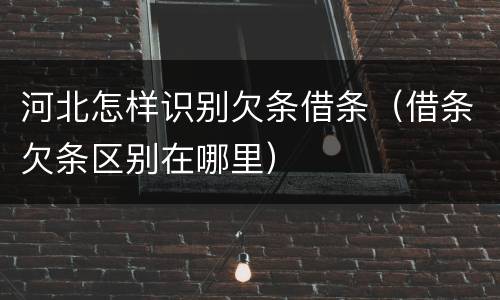 河北怎样识别欠条借条（借条欠条区别在哪里）