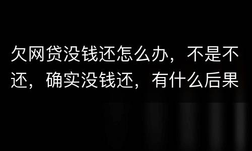 欠网贷没钱还怎么办，不是不还，确实没钱还，有什么后果吗