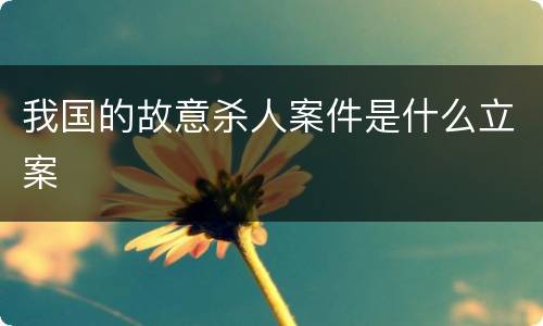 我国的故意杀人案件是什么立案